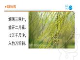 2025年秋青島版四年級科學(xué)上冊 10.《風(fēng)的形成》教學(xué)課件
