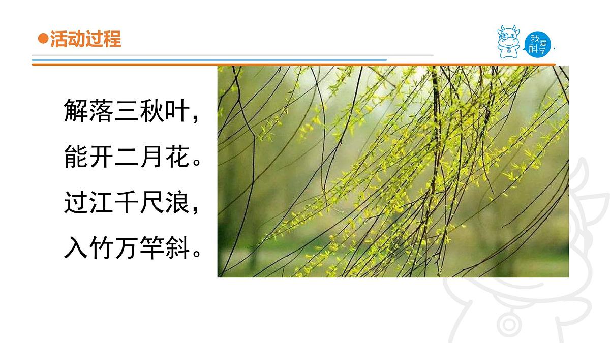 2025年秋青岛版四年级科学上册 10.《风的形成》教学课件第3页