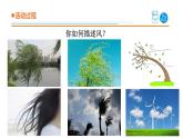 2025年秋青島版四年級科學(xué)上冊 12.《風(fēng)向和風(fēng)力》教學(xué)課件