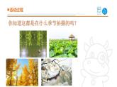 2025年青島版二年級(jí)科學(xué)上冊(cè) 7《春夏秋冬》教學(xué)課件