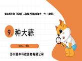 2025年青島版二年級(jí)科學(xué)上冊(cè) 9.《種大蒜》教學(xué)課件