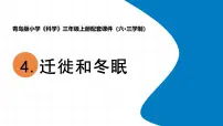 小学科学青岛版（六三制）(2024)三年级上册冬眠与迁徙教学ppt课件