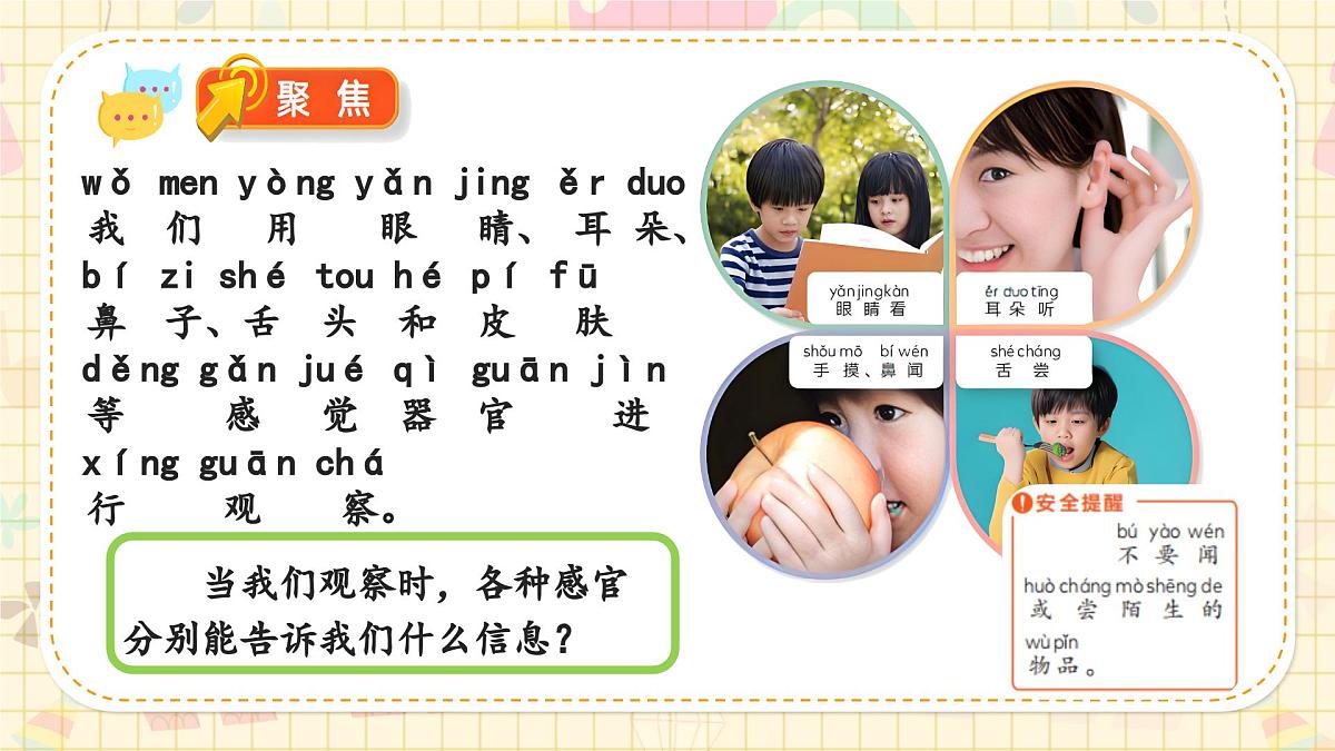 新教材-教科版-小学科学 一年级上册 2.5 通过感官来发现  课件第4页