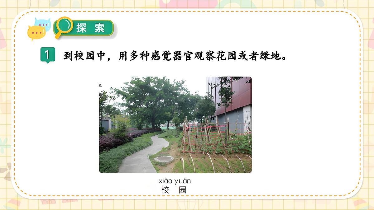 新教材-教科版-小学科学 一年级上册 2.5 通过感官来发现  课件第6页