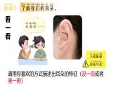 青島版（2024年）小學(xué)科學(xué)一年級上冊5.聽一聽教學(xué)課件