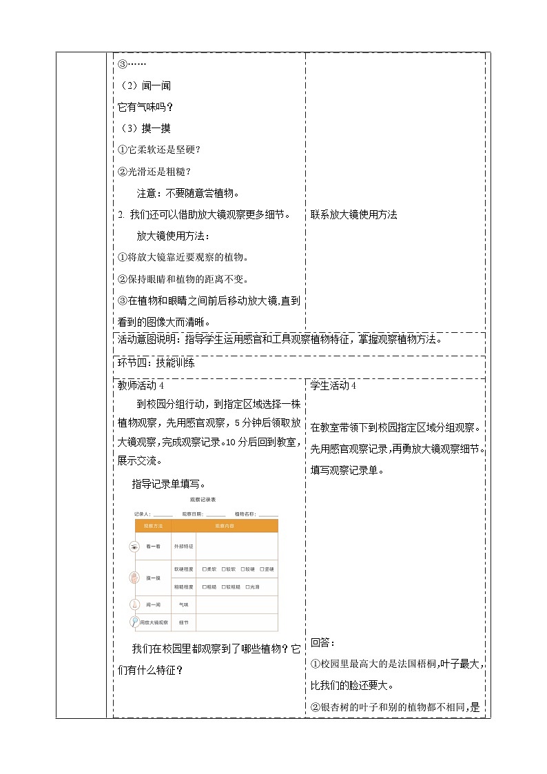 【大单元整体教学】2.5《观察植物》课时教案第3页