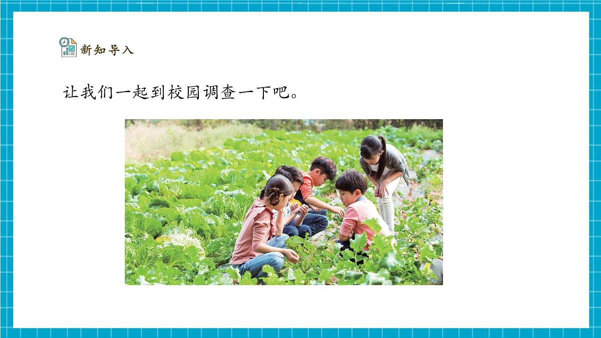 【大单元整体教学】2.7《动植物的异同》课时课件（26张PPT）第5页