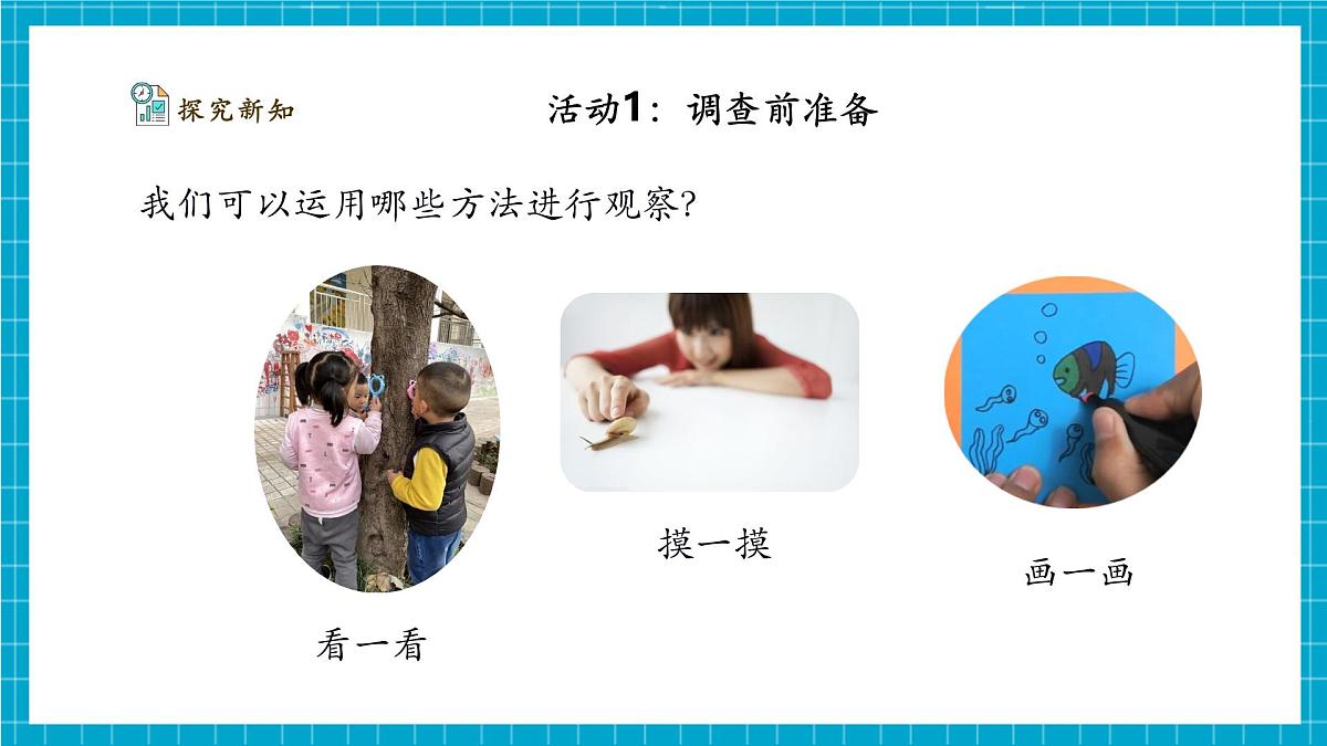 【大单元整体教学】2.7《动植物的异同》课时课件（26张PPT）第7页