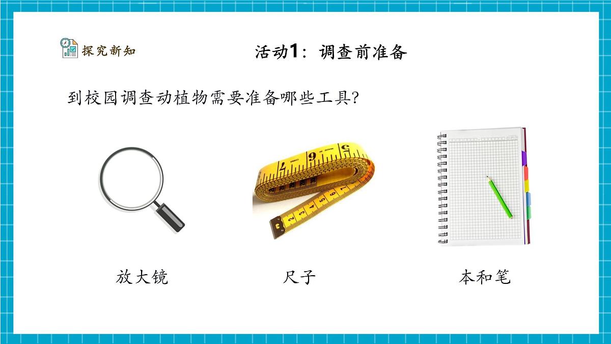 【大单元整体教学】2.7《动植物的异同》课时课件（26张PPT）第8页