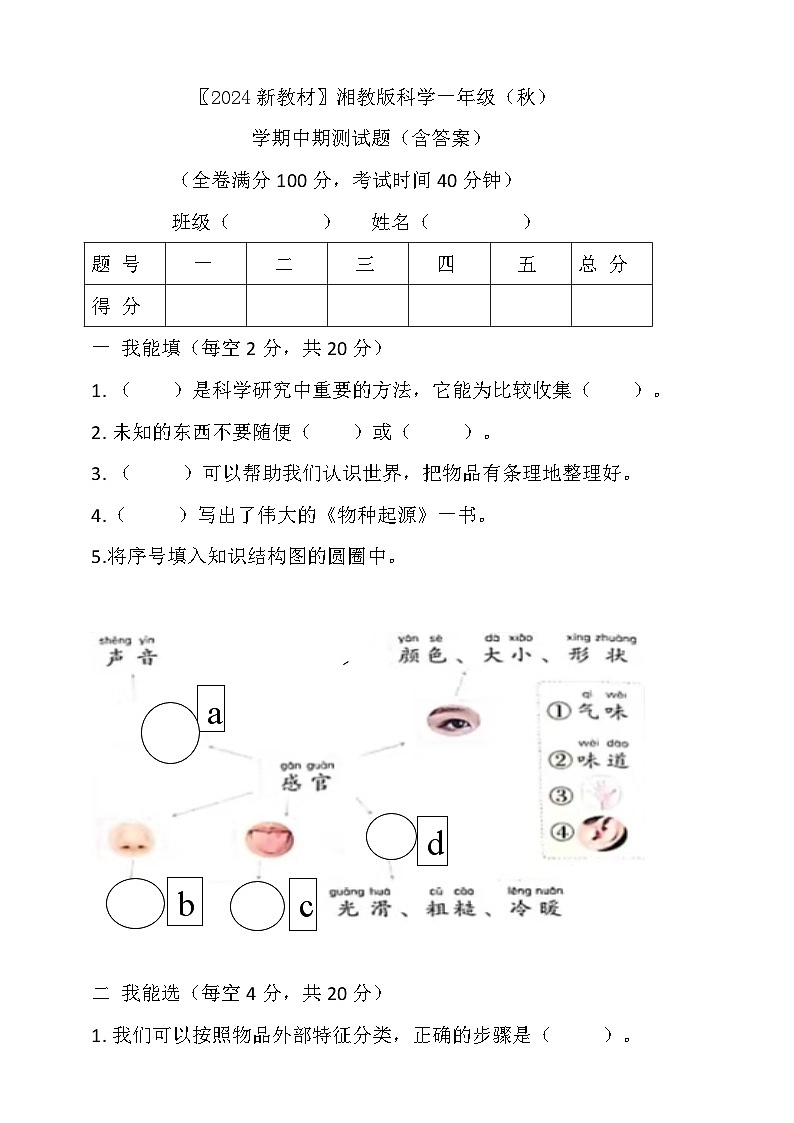湘科版（2024）科学一年级上册 期中试卷（含答案）第1页