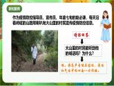 新教科版（2017）科學(xué)五上1.2《光是怎樣傳播的》課件+教案+練習(xí)+素材
