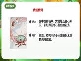 新教科版（2017）科學(xué)五上1.5《認(rèn)識(shí)棱鏡》課件+教案+練習(xí)+素材