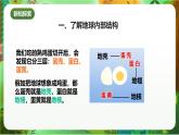 新教科版（2017）科學(xué)五上2.2《地球的結(jié)構(gòu)》課件+教案+練習(xí)+素材
