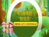 新教科版（2017）科學(xué)五上4.5《身體的“聯(lián)絡(luò)員”》課件+教案+練習(xí)+素材