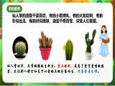 新教科版（2017）科學(xué)五上4.5《身體的“聯(lián)絡(luò)員”》課件+教案+練習(xí)+素材
