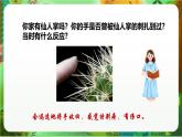 新教科版（2017）科學(xué)五上4.5《身體的“聯(lián)絡(luò)員”》課件+教案+練習(xí)+素材