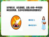新教科版（2017）科學(xué)五上4.5《身體的“聯(lián)絡(luò)員”》課件+教案+練習(xí)+素材