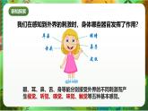 新教科版（2017）科學(xué)五上4.5《身體的“聯(lián)絡(luò)員”》課件+教案+練習(xí)+素材
