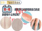 青島版（2024年）小學(xué)科學(xué)一年級上冊6.摸一摸教學(xué)課件