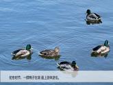 第二單元-4水結冰了（課件）2025-2026學年科學三年級上冊（教科版2024）
