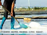 第二單元-8用水分離（課件）2025-2026學年科學三年級上冊（教科版2024）