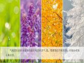 科學(xué)家這樣做-教科版科學(xué)（課件）2025-2026學(xué)年科學(xué)三年級上冊（教科版2024）