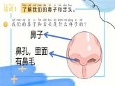 青島版（2024年）小學(xué)科學(xué)一年級上冊7.聞和嘗教學(xué)課件