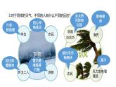 小學(xué)科學(xué)新教科版三年級上冊1.8天氣的影響教學(xué)課件（2025秋）
