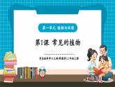 【新教材核心素養(yǎng)】青島版科學(xué)六三制二年級(jí)上冊(cè)1.1《常見(jiàn)的植物》教學(xué)課件+教學(xué)設(shè)計(jì)+分層練習(xí)含答案