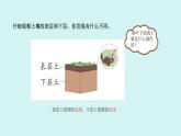 1.3.肥沃的土壤（課件）2025-2026學(xué)年蘇教版三年級(jí)科學(xué)上冊(cè)