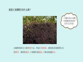 1.3.肥沃的土壤（課件）2025-2026學(xué)年蘇教版三年級(jí)科學(xué)上冊(cè)