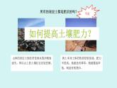 1.3.肥沃的土壤（課件）2025-2026學(xué)年蘇教版三年級(jí)科學(xué)上冊(cè)
