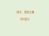 第一單元 單元復(fù)習(xí) （課件）2025-2026學(xué)年蘇教版三年級科學(xué)上冊