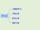 第一單元 單元復(fù)習(xí) （課件）2025-2026學(xué)年蘇教版三年級科學(xué)上冊