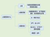 第一單元 單元復(fù)習(xí) （課件）2025-2026學(xué)年蘇教版三年級科學(xué)上冊