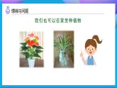 【任務型備課】教科版科學一上-1.1 我們知道的植物（課件+教案+習題）