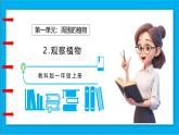 【任務(wù)型備課】教科版科學(xué)一上-1.2 觀察植物（課件+教案+習(xí)題）