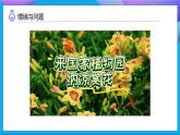 【任務(wù)型備課】教科版科學(xué)一上-1.2 觀察植物（課件+教案+習(xí)題）