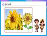 【任務型備課】教科版科學一上-1.4 給植物畫張“像”（課件+教案+習題）