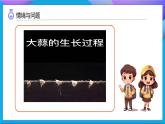 【任務(wù)型備課】教科版科學(xué)一上-1.5 植物的變化（課件+教案+習(xí)題）