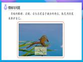 【任務(wù)型備課】教科版科學(xué)一上-2.1 我們的身體（課件+教案+習(xí)題）