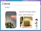 【任務(wù)型備課】教科版科學(xué)五上-4.5 身體的“聯(lián)絡(luò)員”（課件+教案+習(xí)題）