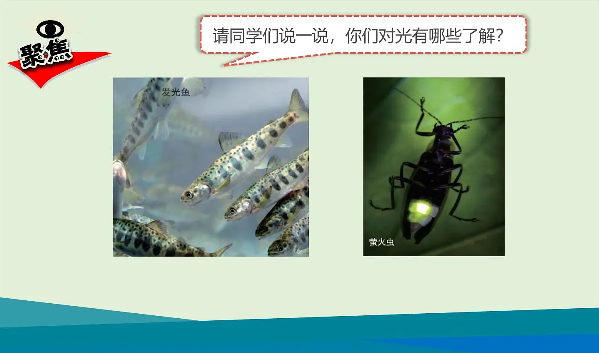 教科版科学五年级上册1.1《有关光的思考》课件第4页
