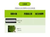 2.1.水到哪里去了（課件）2025-2026學年教科版三年級科學上冊