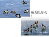 2.4.水結冰了（課件）2025-2026學年教科版三年級科學上冊