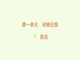 1 昆蟲（課件）2025-2026學年青島版（63制）三年級科學上冊