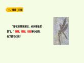1 昆蟲（課件）2025-2026學年青島版（63制）三年級科學上冊