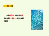 2 魚（課件）2025-2026學年青島版（63制）三年級科學上冊
