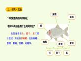 2 魚（課件）2025-2026學年青島版（63制）三年級科學上冊