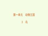 3 鳥（課件）2025-2026學年青島版（63制）三年級科學上冊